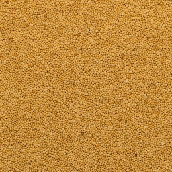Amaranth org. 25kg