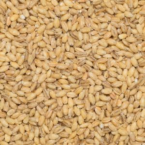 Barley hulled org. 25kg