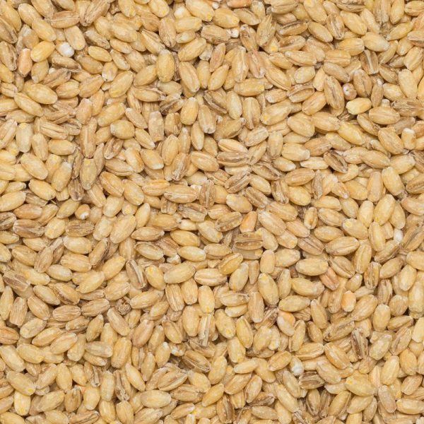 Barley hulled org. 25kg