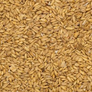 Oat hulled org. 25kg