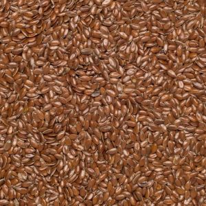 Flax seed brown org. PL 25kg