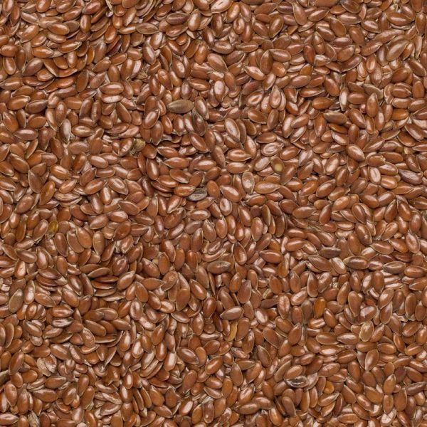 Flax seed brown org. PL 25kg