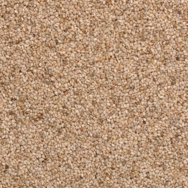 Sesame seed unhulled org. 25kg