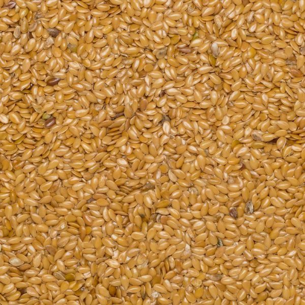 Flax seed blond org. EU 25KG